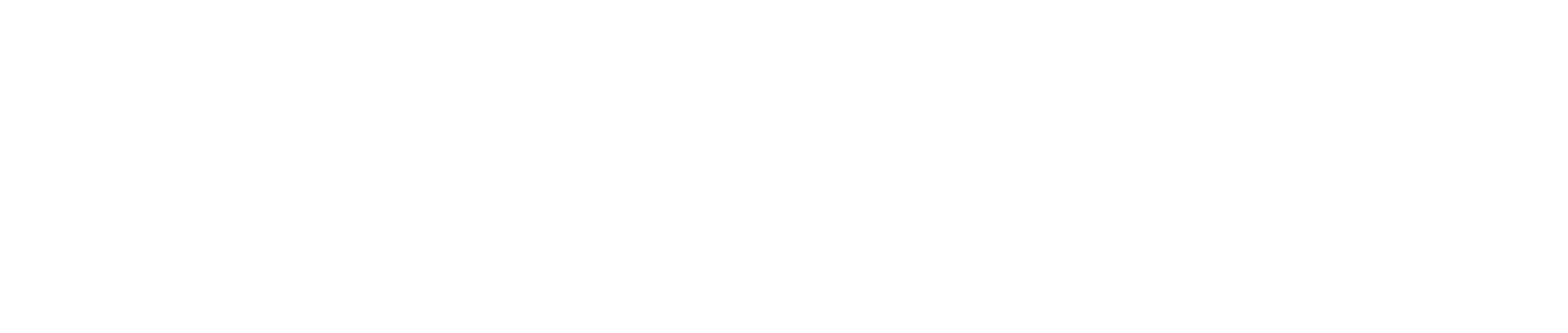 Iconic Brand Group